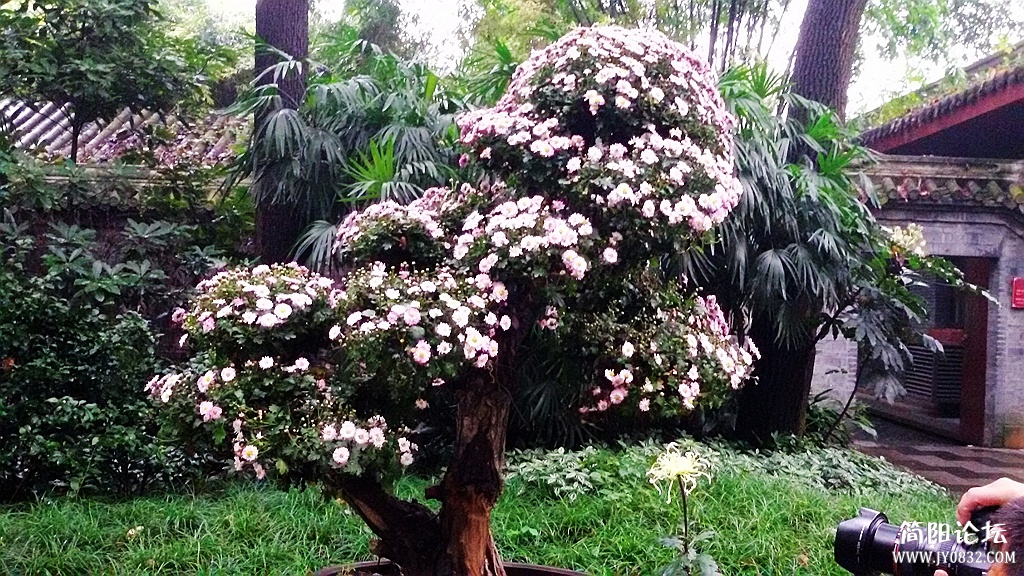 2014-11-0930.jpg