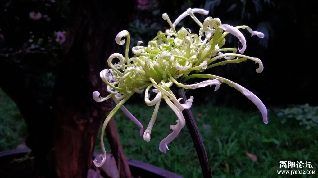2014-11-0931.jpg