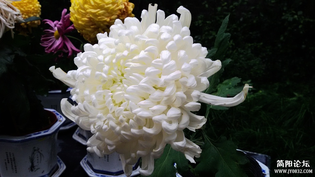 2014-11-0933.jpg