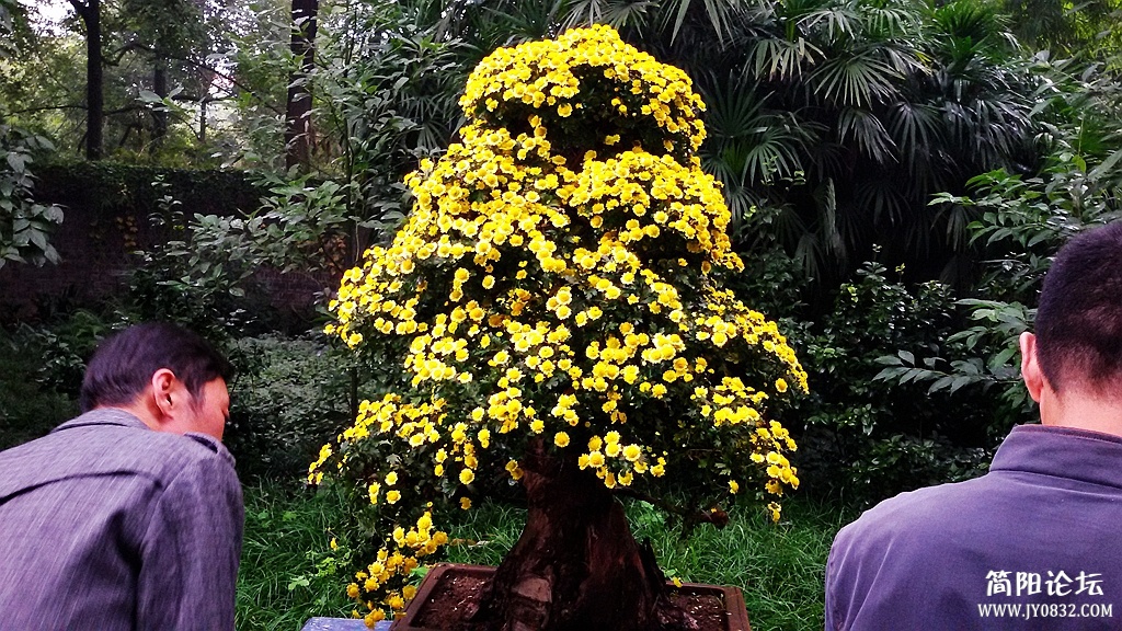 2014-11-0935.jpg
