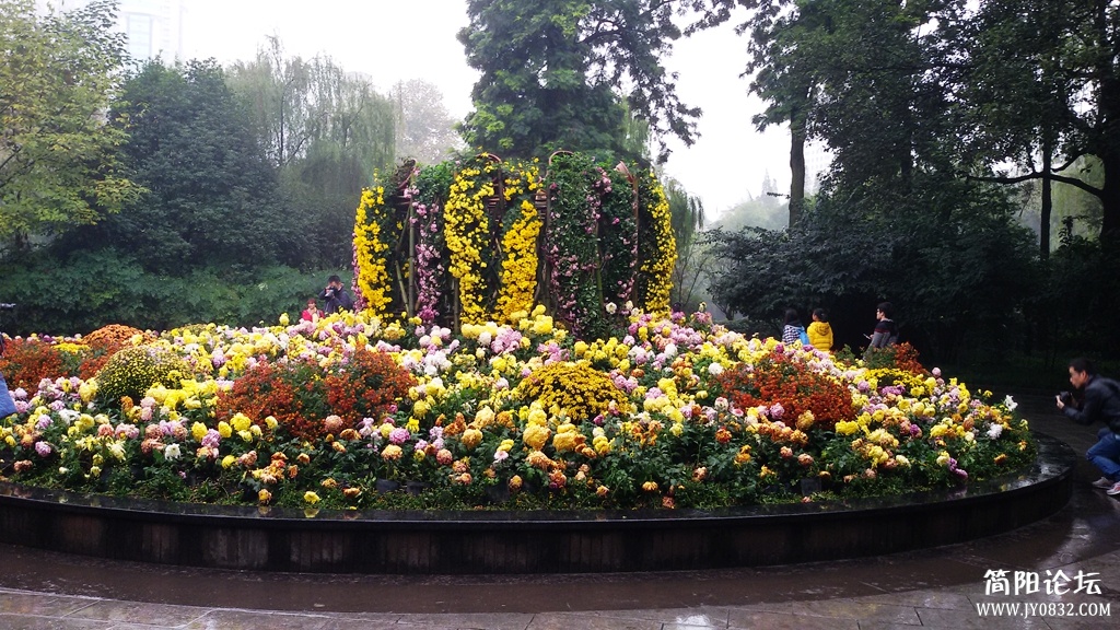 2014-11-0936.jpg