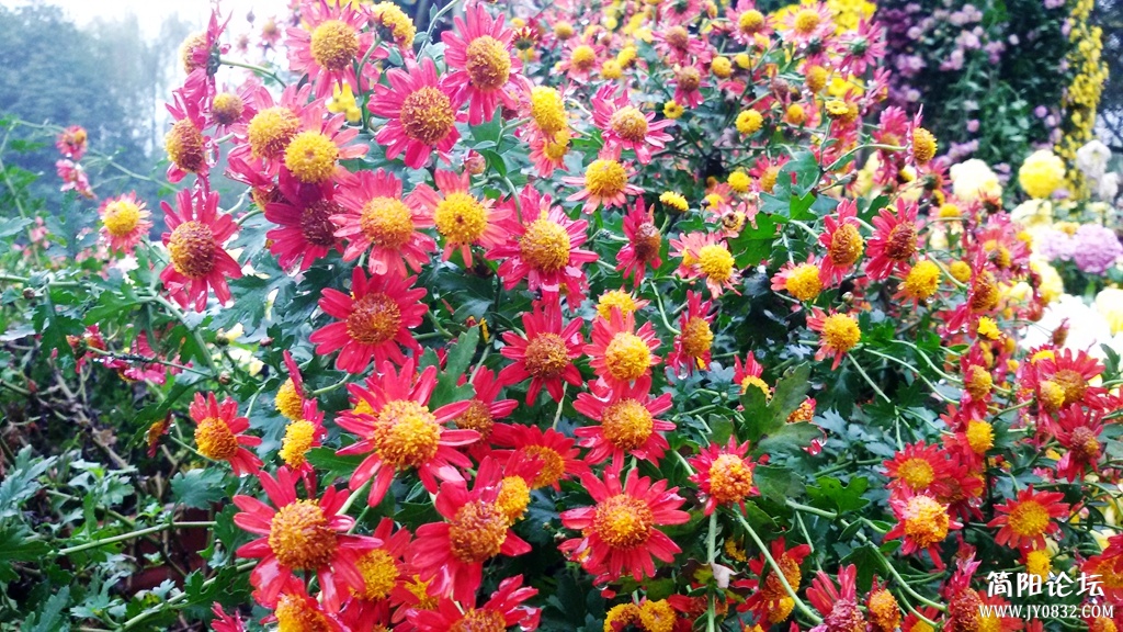 2014-11-0937.jpg