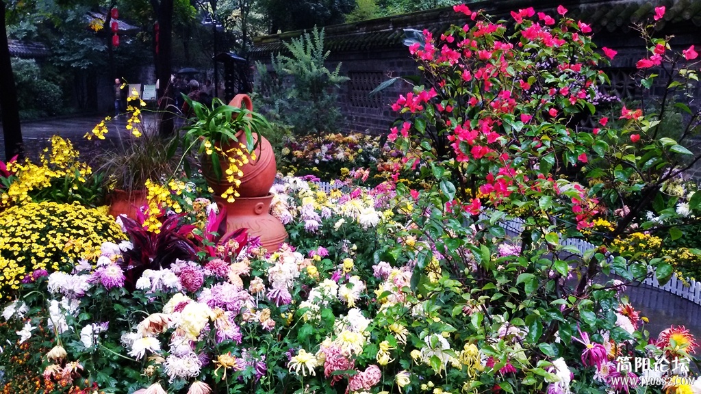 2014-11-0940.jpg