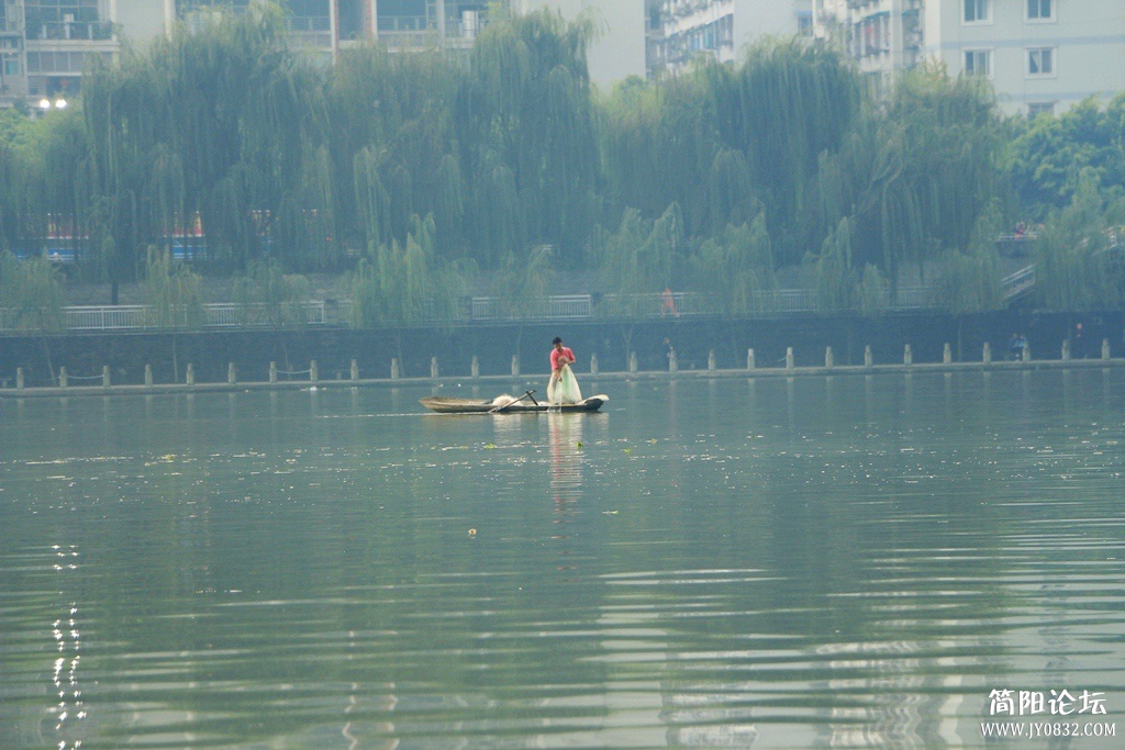 IMG_5324.jpg