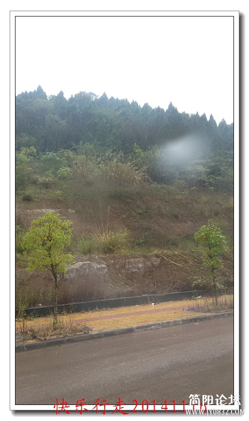 20141116_101836.jpg