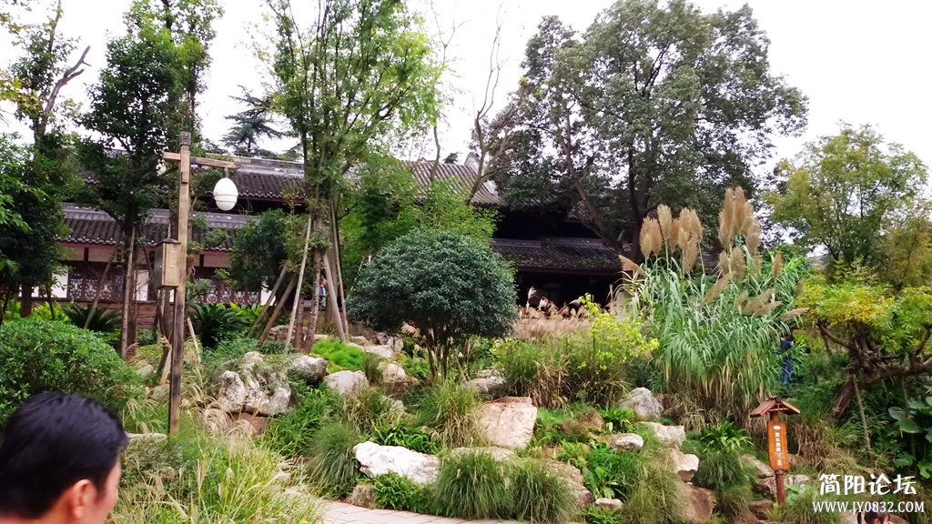 2014-11-0130.jpg