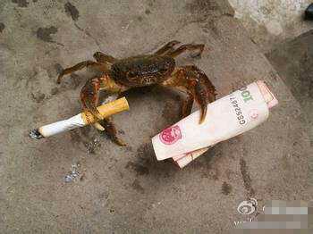 IMG20141205145201.jpg