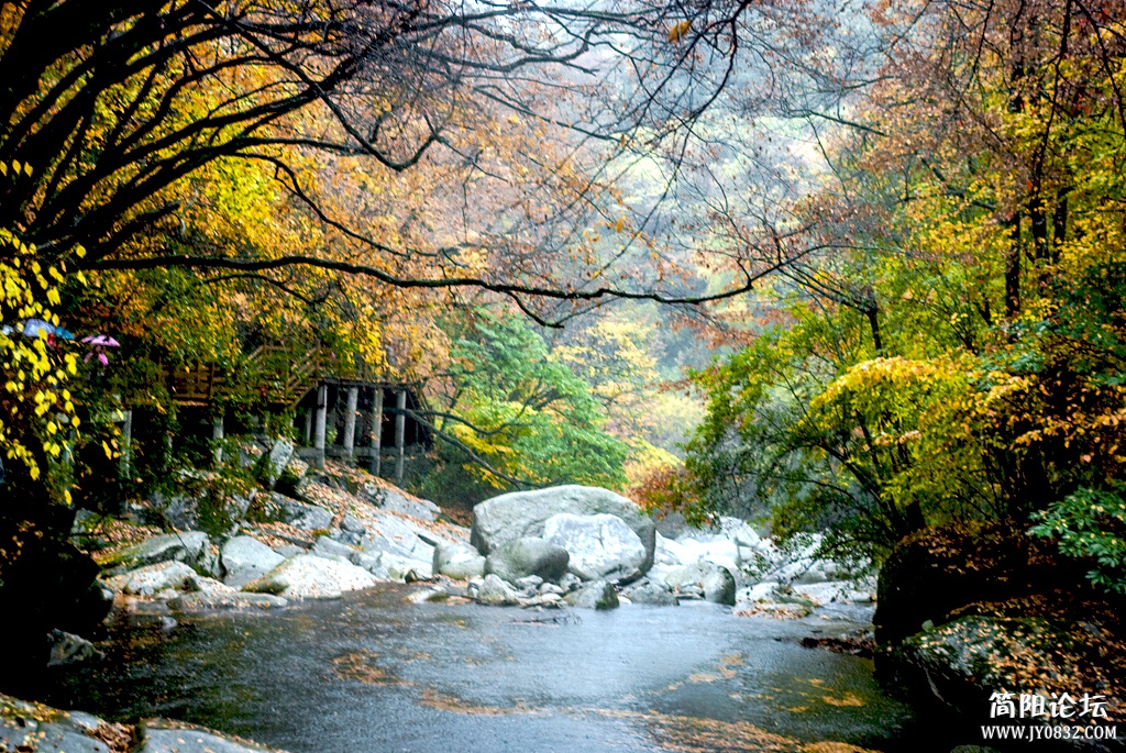 DSC_5921.jpg