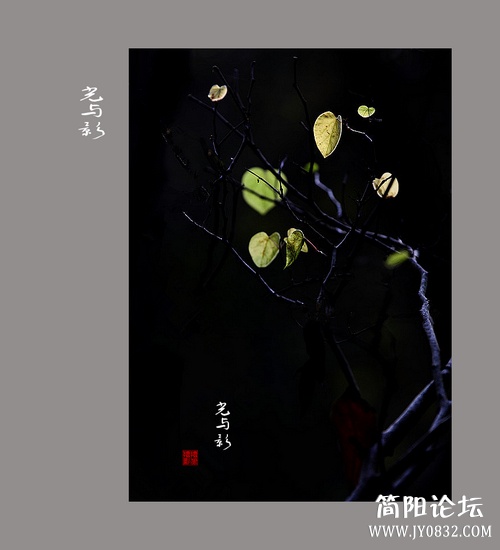 IMG_3037a_副本aa0.jpg