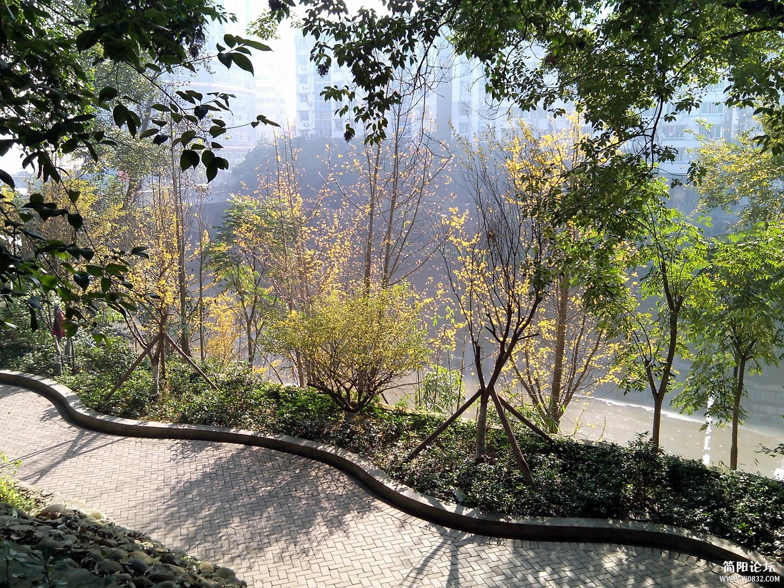 IMG_20141207_103525.jpg