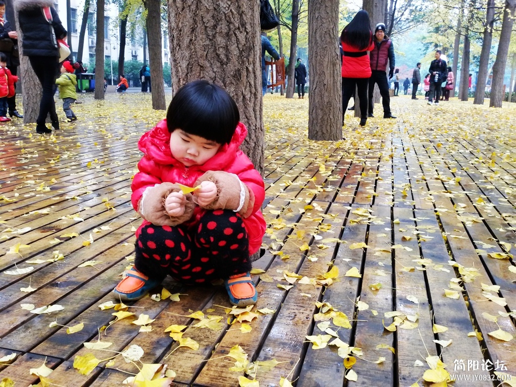 2014-12-0627.jpg