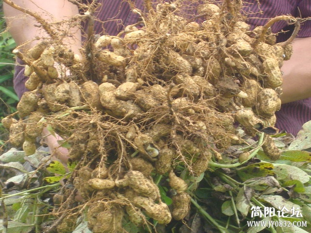 图片来自网络