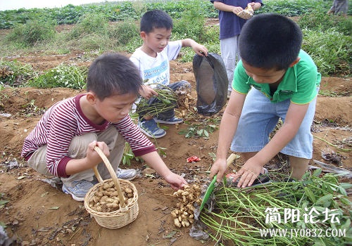 图片来自网络