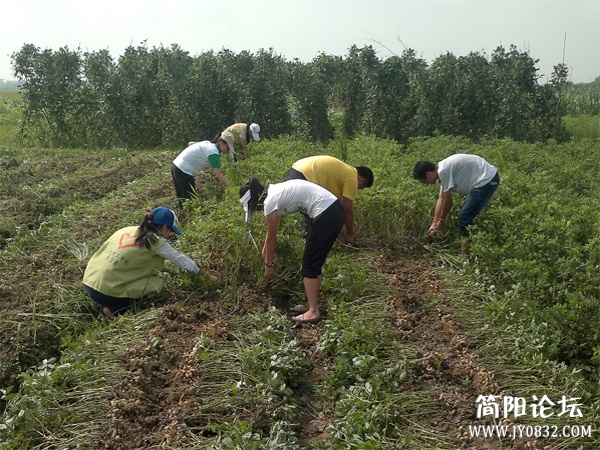 图片来自网络