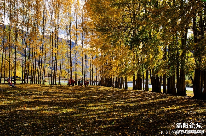 DSC_5762.c.jpg