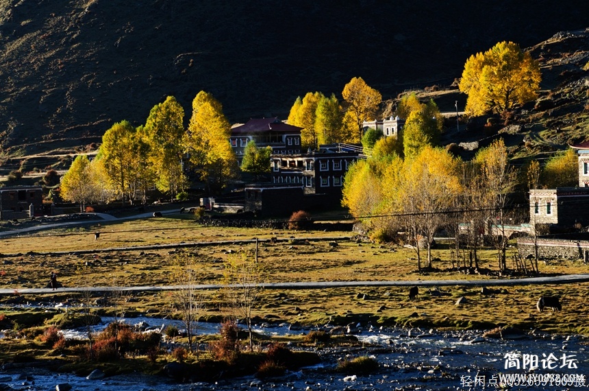 DSC_5630.c.jpg