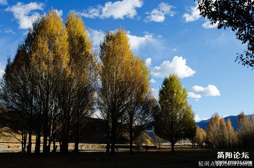 DSC_5883c.jpg