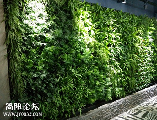 大厅植物墙