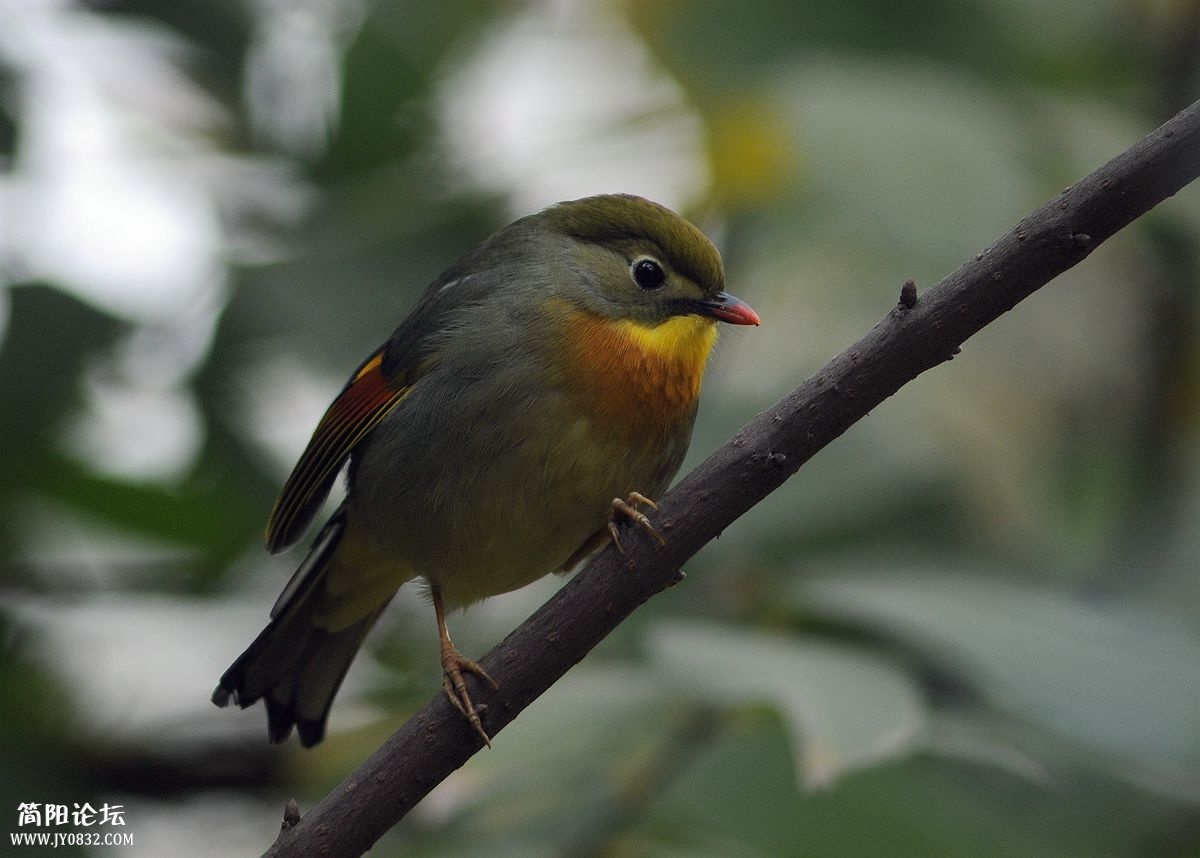DSC_8327_副本.jpg