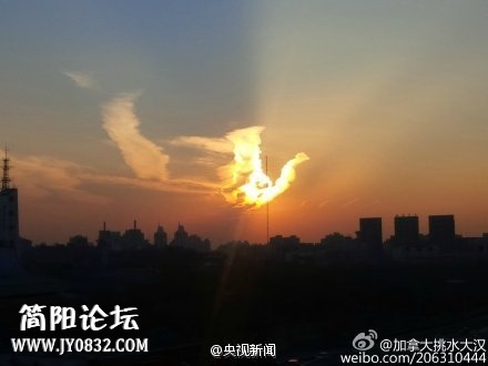 9e5389bbjw1enkfqg5abbj20c8096aa6.jpg