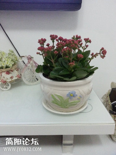 IMG20150109200328.jpg