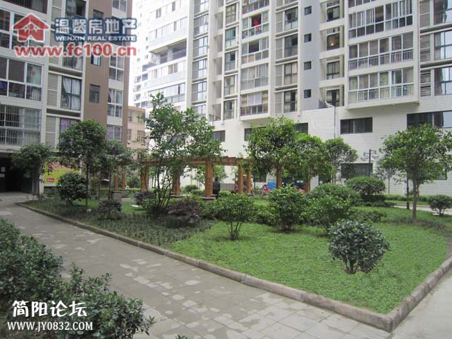 2011103138198265.jpg