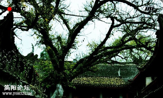 涌泉寺.jpg