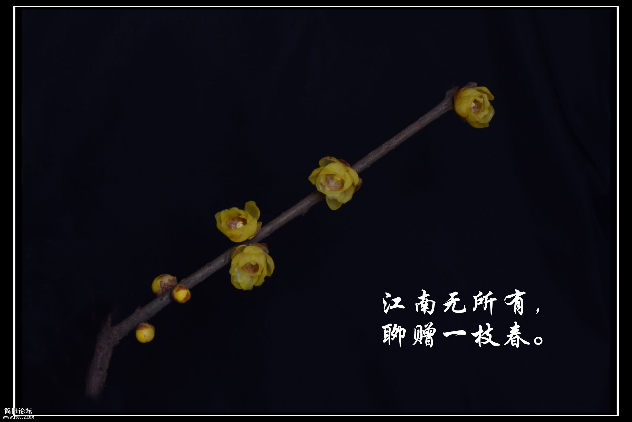 DSA_0620_副本.jpg