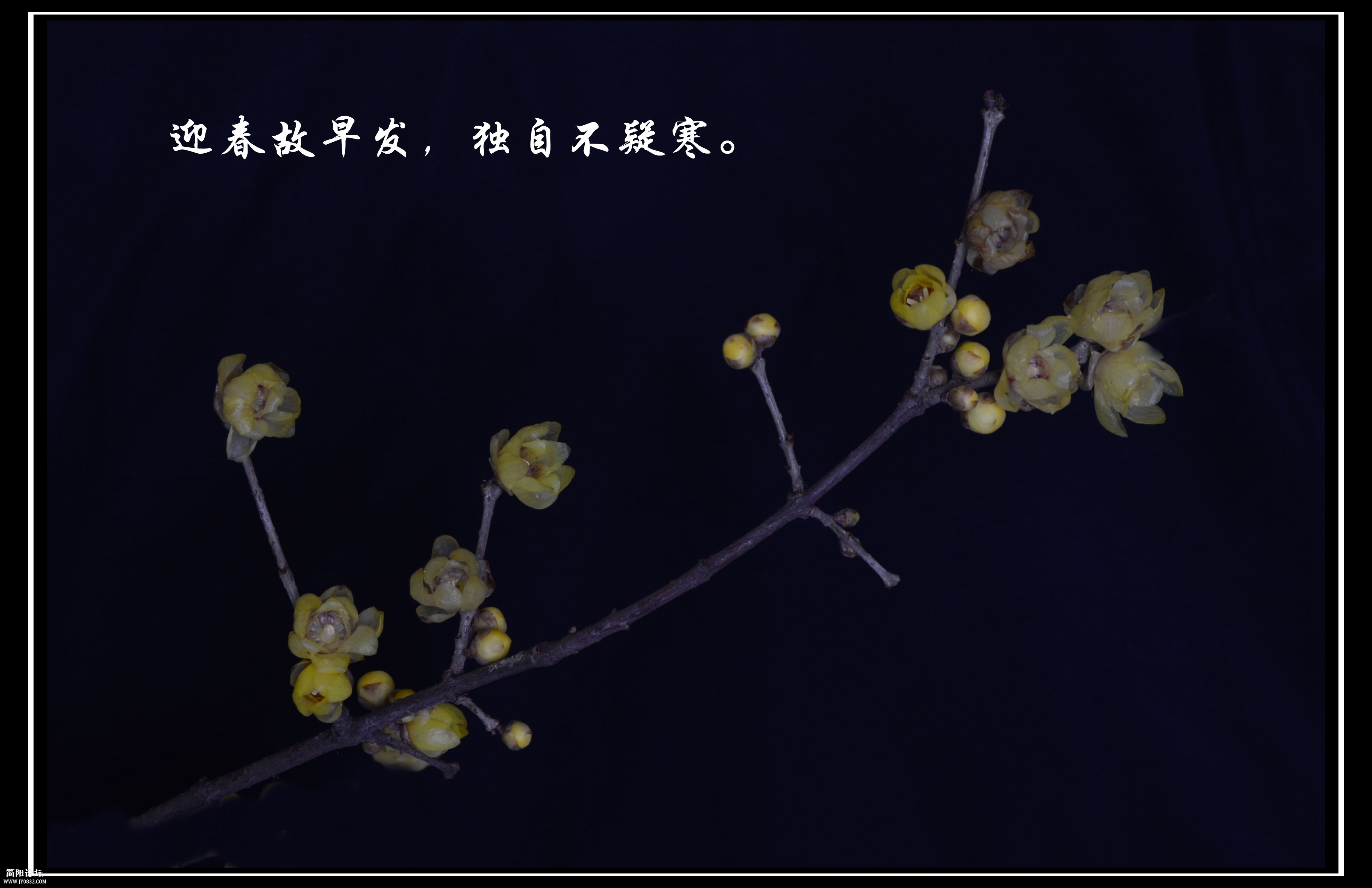 DSA_0626_副本.jpg