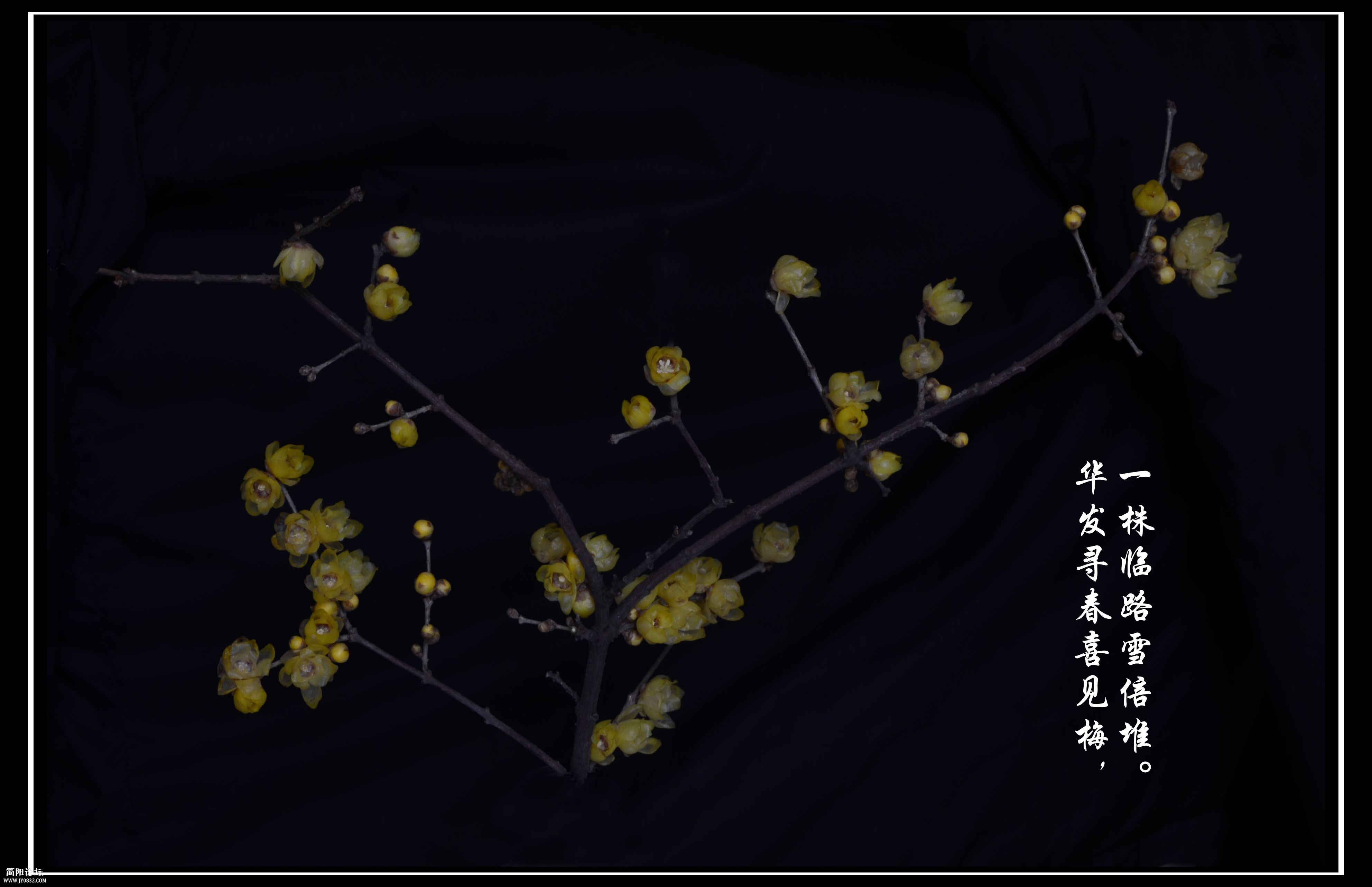 DSA_0628_副本.jpg