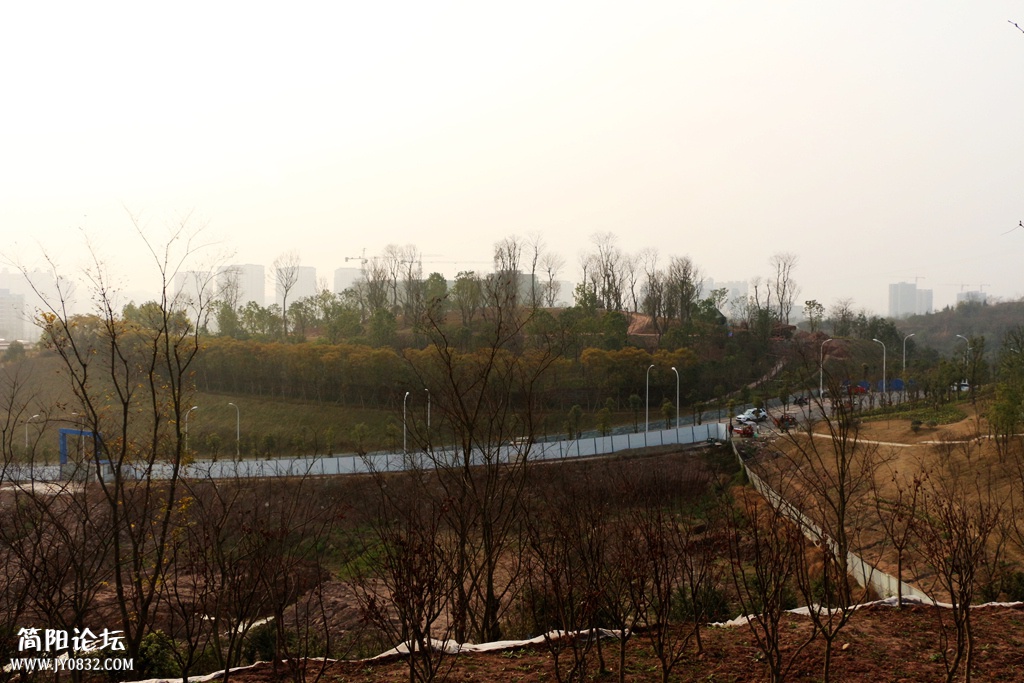 IMG_6283.jpg