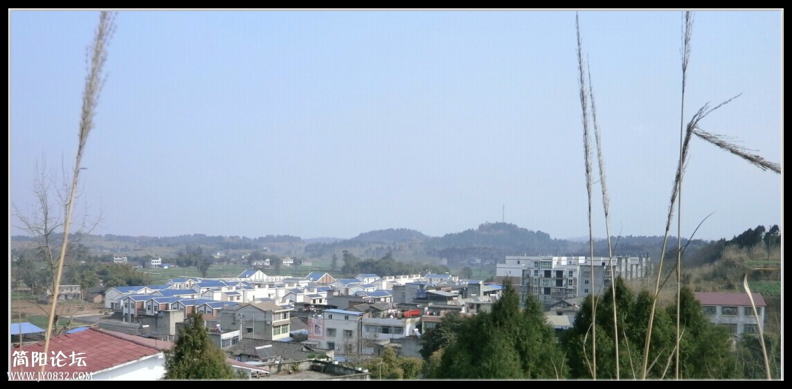施家镇新街全景.jpg