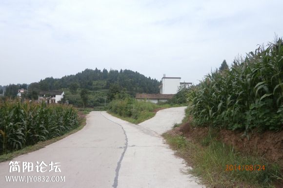 金玉村9.jpg