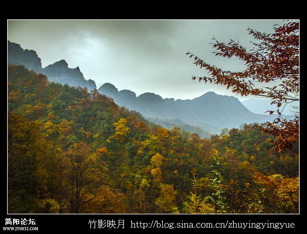龙伏光雾山.jpg