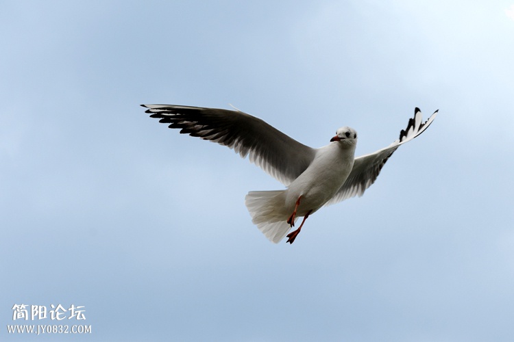DSC_3835副本.jpg