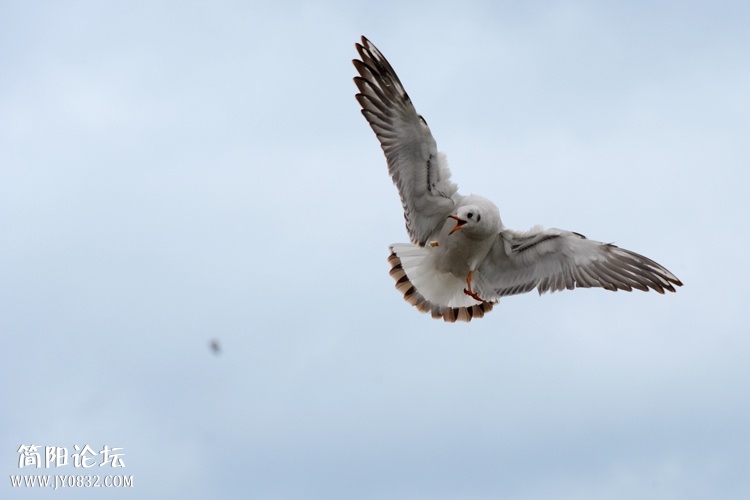 DSC_3850副本.jpg