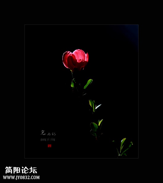 IMG_5176aaa0.jpg