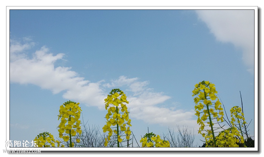 20150301_161834.jpg
