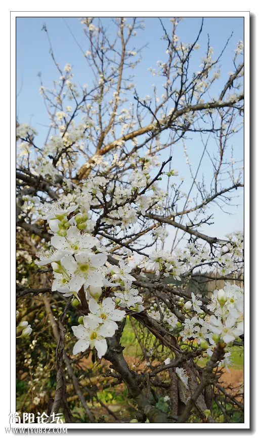 20150301_173805.jpg