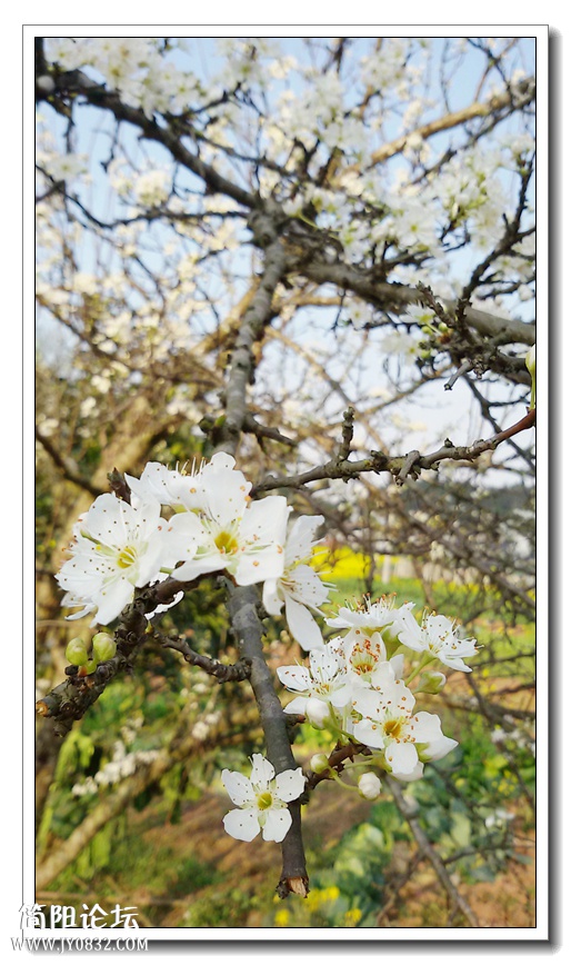 20150301_173816.jpg