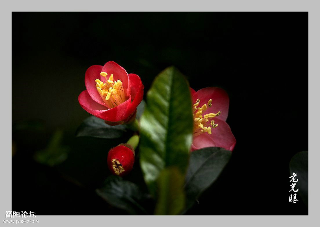DSC_9835.jpg