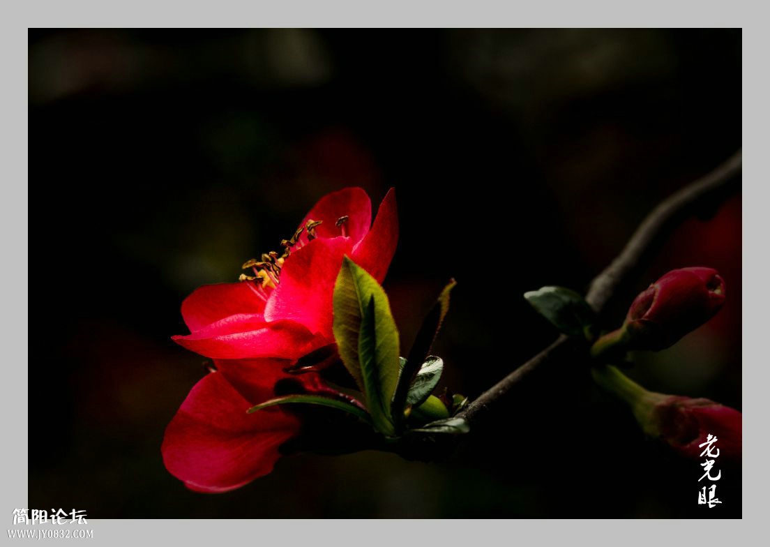 DSC_9858.jpg