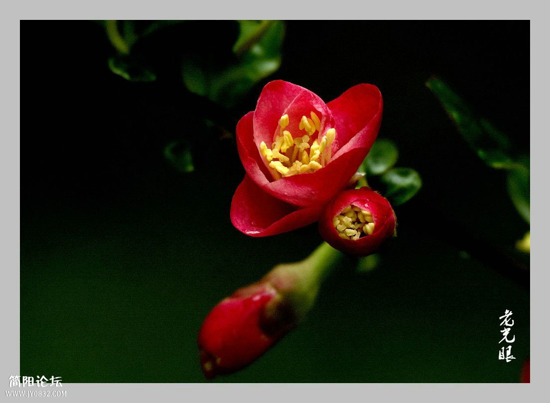 DSC_98201.jpg