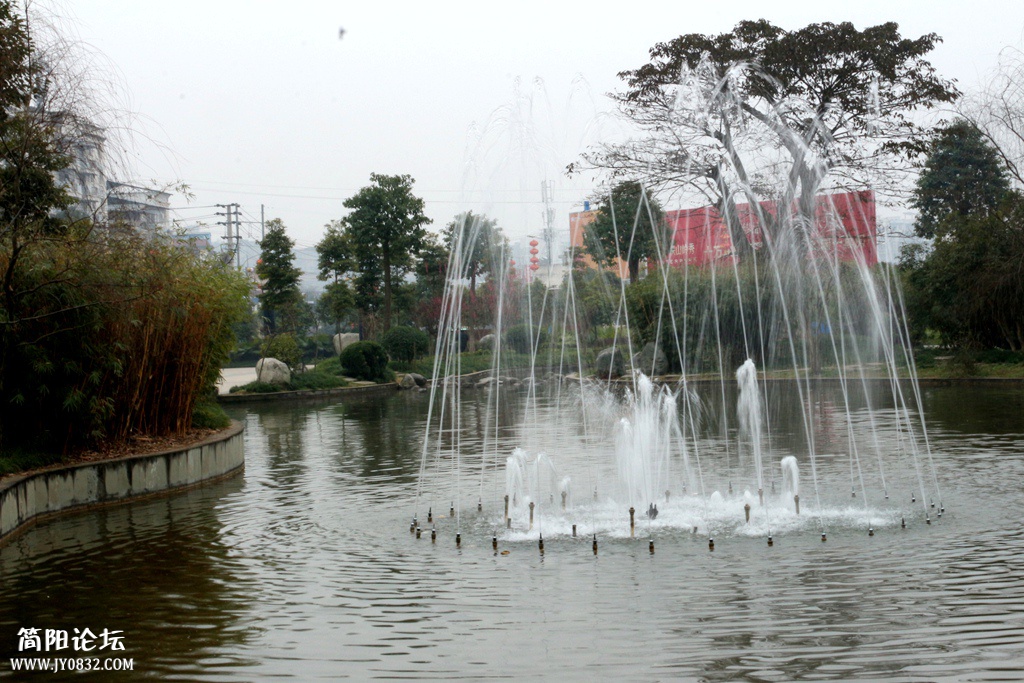 IMG_6768.jpg