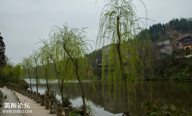 春游绛溪河-2-wl.jpg