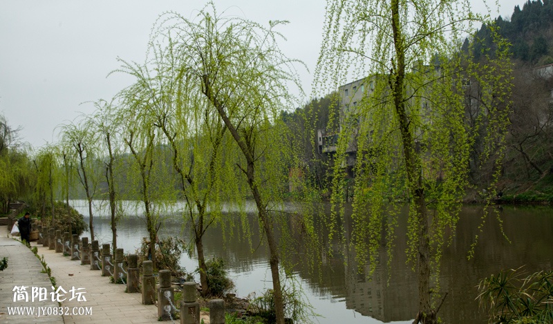 春游绛溪河-3-wl.jpg