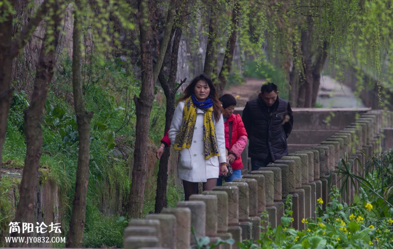 春游绛溪河-6-wl.jpg