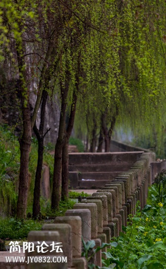 春游绛溪河-8-wl.jpg