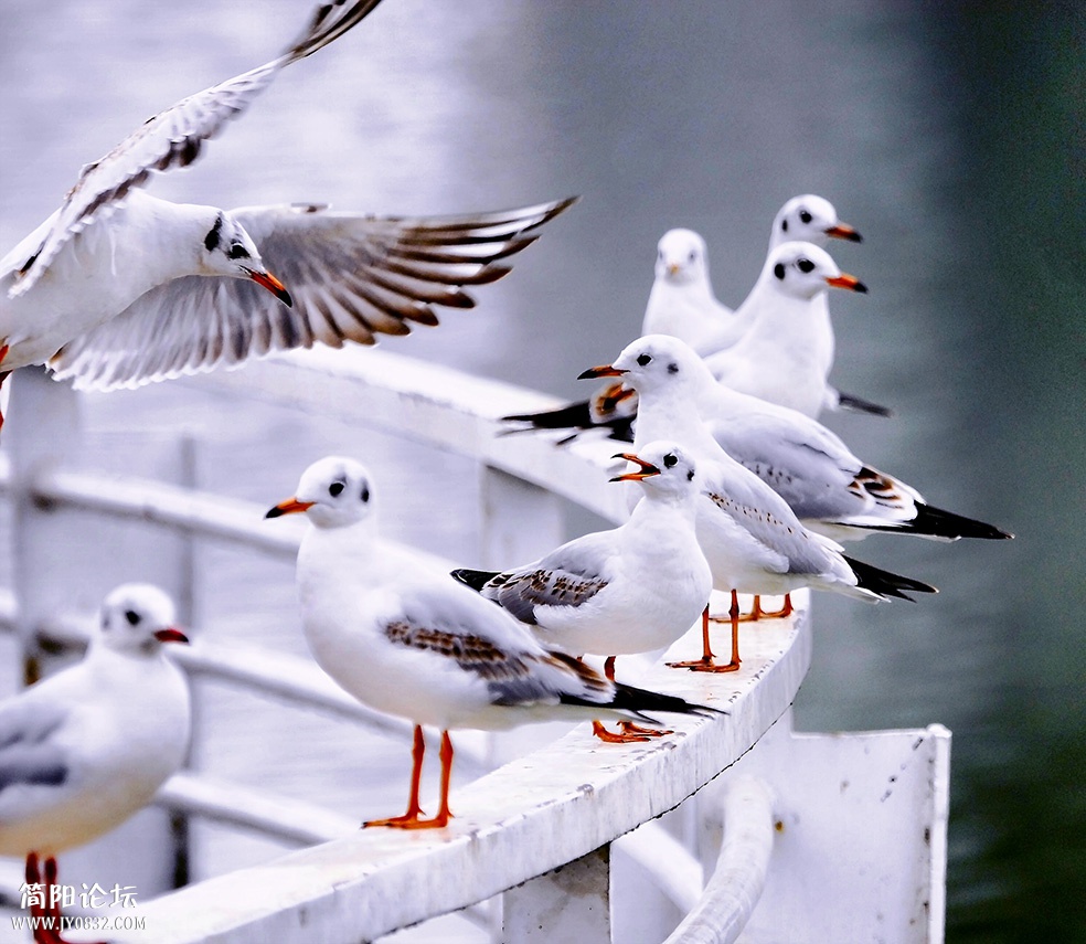 _DSC0017 1副本.jpg