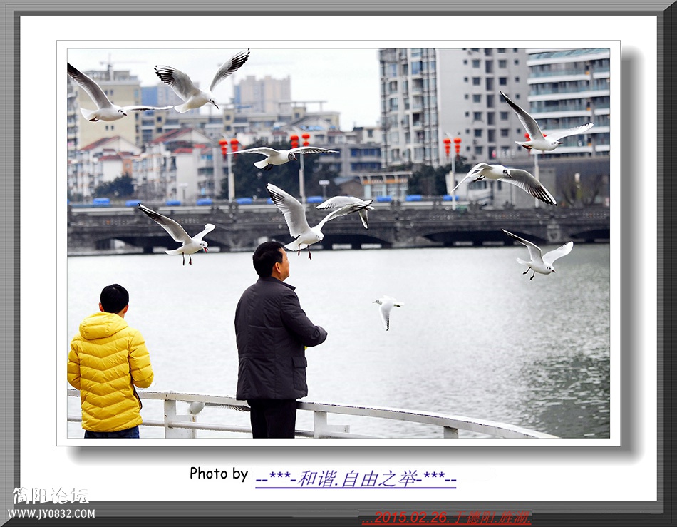 _DSC0032 6副本.jpg